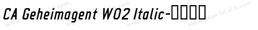 CA Geheimagent W02 Italic字体转换